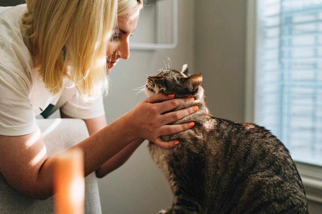 The Modern Veterinary Concierge: Redefining Medical Care for Companion Animals